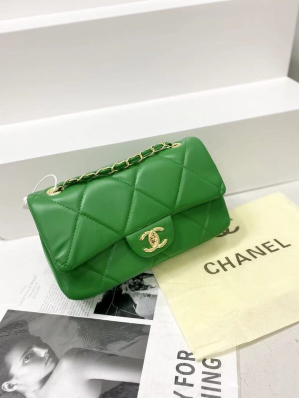Chanel Medium Flap Bag-Model- 2241 Size:(L22xH15xw9)