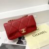 Chanel Medium Flap Bag-Model- 2241 Size:(L22xH15xw9)