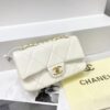 Chanel Medium Flap Bag-Model- 2241 Size:(L22xH15xw9)
