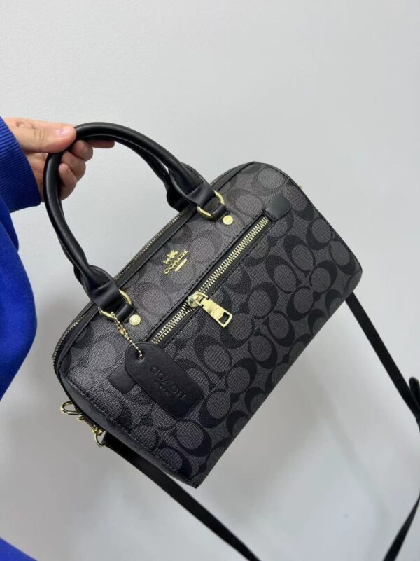 COACH, Fendi, LV Hand Bag-Model-Mix Size:(M)