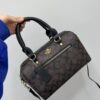 COACH, Fendi, LV Hand Bag-Model-Mix Size:(M)