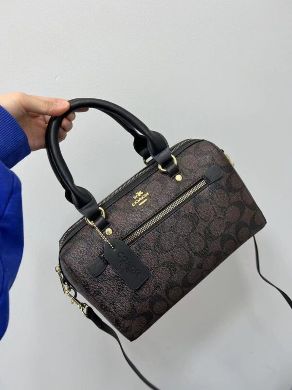 COACH, Fendi, LV Hand Bag-Model-Mix Size:(M)