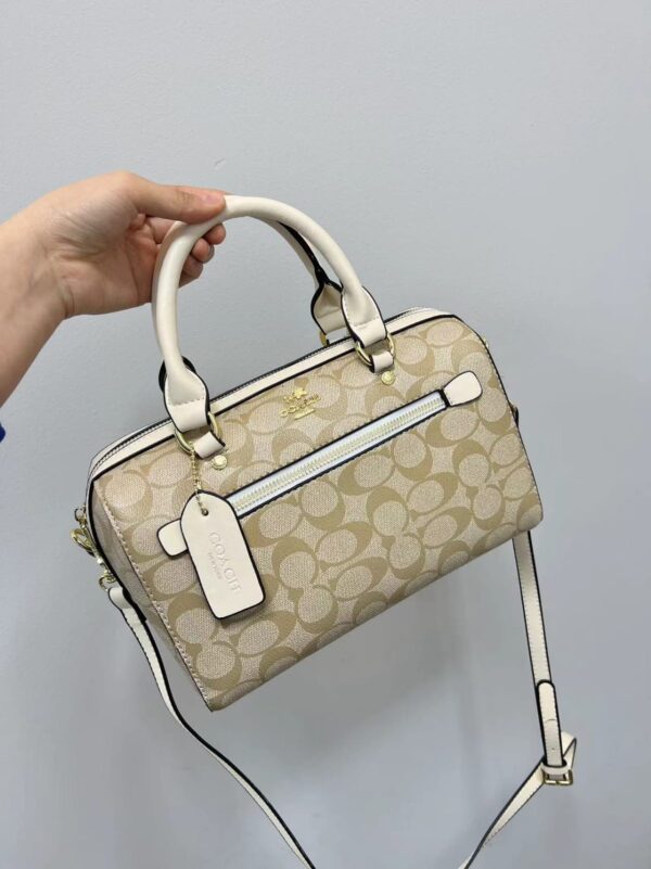 COACH, Fendi, LV Hand Bag-Model-Mix Size:(M)