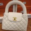 Chanel Hand Bag New Trend-Model-8319 Size: (M)