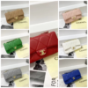 Chanel Medium Flap Bag-Model- 2241 Size:(L22xH15xw9)